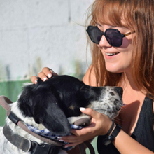 THELMA, Hund, Herdenschutzhund in Spanien - Bild 4