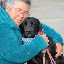 BRUNO, Hund, Mischlingshund in Spanien - Bild 2