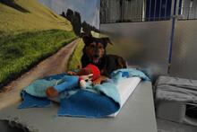 QUEENIE BB20, Hund, Mischlingshund in Essen - Bild 7