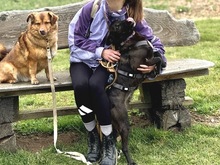 PRINCESS, Hund, Mischlingshund in Erfurt - Bild 2