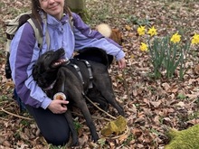 PRINCESS, Hund, Mischlingshund in Erfurt - Bild 3