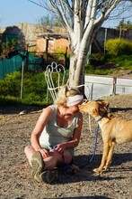 BARNABY, Hund, Podenco in Spanien - Bild 12