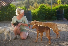 BARNABY, Hund, Podenco in Spanien - Bild 4