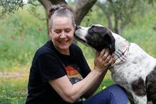 BO, Hund, Mischlingshund in Griechenland - Bild 3