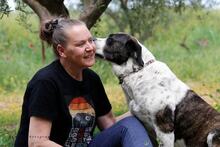 BO, Hund, Mischlingshund in Griechenland - Bild 4