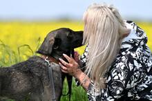WAFFEL, Hund, Mischlingshund in Polen - Bild 13