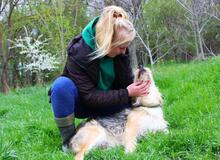 GREYSON, Hund, Mischlingshund in Bad Münder - Bild 8