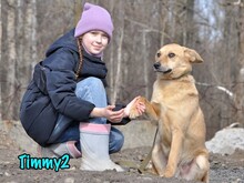 TIMMY2, Hund, Mischlingshund in Russische Föderation - Bild 10