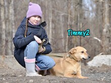 TIMMY2, Hund, Mischlingshund in Russische Föderation - Bild 9