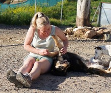 NILAY, Hund, Mischlingshund in Spanien - Bild 8