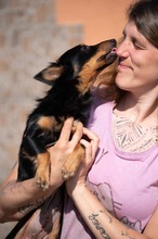 VESPERA, Hund, Chihuahua-Mix in Ungarn - Bild 15
