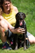 FONZO, Hund, Mischlingshund in Ungarn - Bild 15