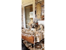 FLASH, Hund, Mischlingshund in Heidenrod - Bild 11