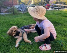TINKERBELL, Hund, Mischlingshund in Coppenbrügge - Bild 2