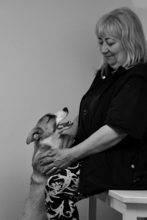 MAYAC61, Hund, Mischlingshund in Slowakische Republik - Bild 3
