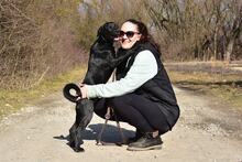 DOBBYS259, Hund, Mischlingshund in Slowakische Republik - Bild 6
