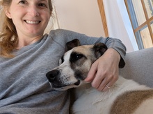 SKY, Hund, Mischlingshund in Hohenschäftlarn - Bild 9
