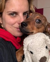JOSCHKA, Hund, Mischlingshund in Rumänien - Bild 10