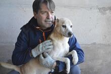 JIMMY, Hund, Mischlingshund in Italien - Bild 18