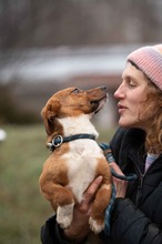 PARYTTIA, Hund, Dackel-Mix in Mudersbach - Bild 11