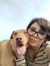 ESMA, Hund, Mischlingshund in Italien - Bild 3