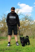 MAZLI, Hund, Scottish Terrier-Mix in Wunstorf - Bild 12