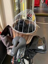 MANDY, Hund, Mischlingshund in Karlsruhe - Bild 12
