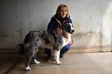LENNARD, Hund, Mischlingshund in Italien - Bild 10
