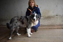 LENNARD, Hund, Mischlingshund in Italien - Bild 3