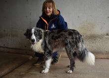 LENNARD, Hund, Mischlingshund in Italien - Bild 9