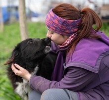 MULAN, Hund, Mischlingshund in Rumänien - Bild 9