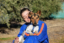 VEGA, Hund, Ratonero Bodeguero Andaluz-Mix in Spanien - Bild 5