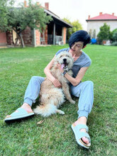 JAMIE, Hund, Mischlingshund in Berlin - Bild 4