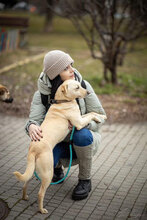 BELA, Hund, Mischlingshund in Bulgarien - Bild 5