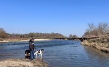 AOIFE, Hund, Herdenschutzhund-Mix in Herbertingen - Bild 5