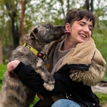 TIARA, Hund, Mischlingshund in Rumänien - Bild 8