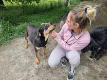 MONA, Hund, Mischlingshund in Griechenland - Bild 2