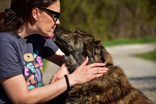 MANFREDS266, Hund, Mischlingshund in Slowakische Republik - Bild 3