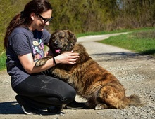 MANFREDS266, Hund, Mischlingshund in Slowakische Republik - Bild 6