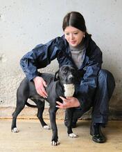 ROBERTHA, Hund, Mischlingshund in Italien - Bild 7
