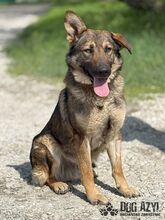 PIERRO, Hund, Mischlingshund in Slowakische Republik - Bild 1
