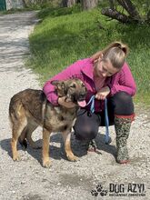 PIERRO, Hund, Mischlingshund in Slowakische Republik - Bild 15