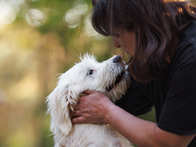RAIMONDO, Hund, Mischlingshund in Weinheim - Bild 6