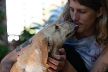 MASZAT, Hund, Mischlingshund in Ungarn - Bild 14