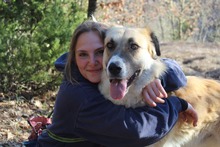 LUKAS, Hund, Mischlingshund in Griechenland - Bild 2