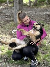 CHIPPY, Hund, Mischlingshund in Slowakische Republik - Bild 11