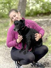 FRITZI, Hund, Mischlingshund in Slowakische Republik - Bild 10
