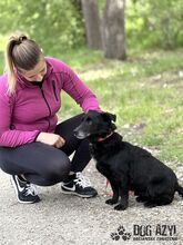 FRITZI, Hund, Mischlingshund in Slowakische Republik - Bild 9