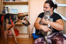 PAPPY, Hund, Mischlingshund in Bulgarien - Bild 4