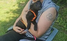 MARILOU, Hund, Mischlingshund in Bergen - Bild 5